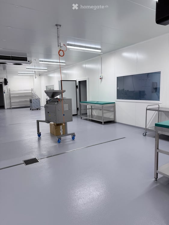 Denges – 560 m² avec 200 m² de chambres froides à remettre 9