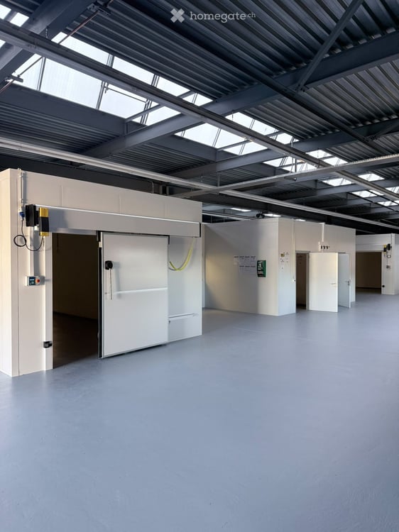 Denges – 560 m² avec 200 m² de chambres froides à remettre 5