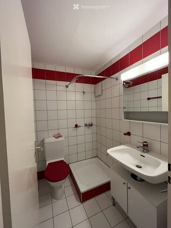 Magnifique studio à louer sur Fribourg 2