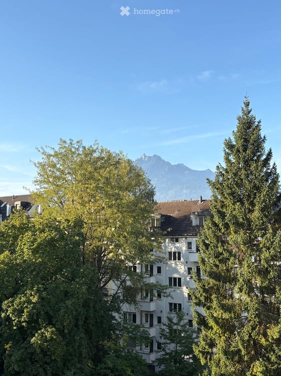Grosszügige, helle 5 1/2-Zimmer-Wohnung auf 150 m2 über den Dächern von Luzern 5