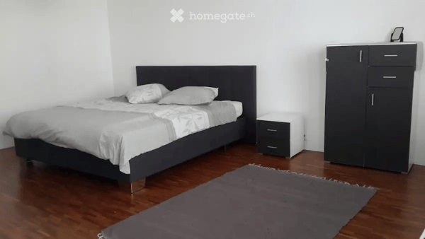 Modern Furnished Apartment in Biel/Bienne