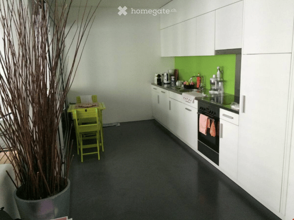 Modern Furnished Apartment in Biel/Bienne 4