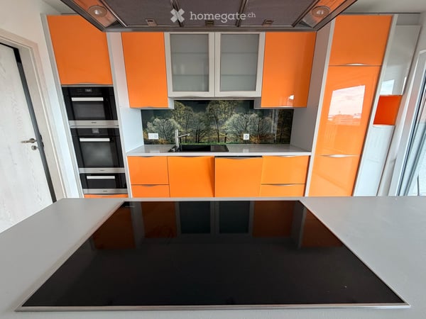 Magnifique duplex de 4.5 pièces avec vue panoramique sur le lac et les Alpes 2