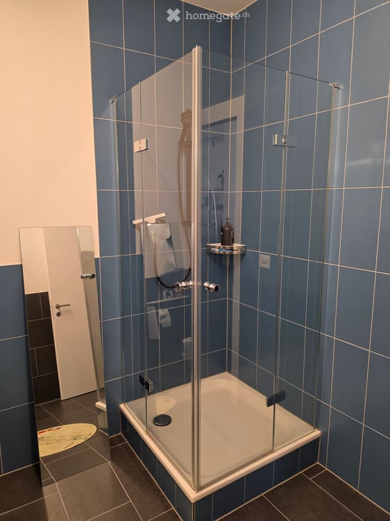 Gewerberaum / Ladenfläche in Rebstein 110m2 7
