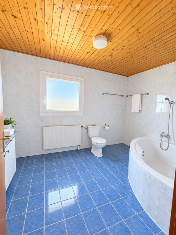 Magnifique Villa individuelle RENOVEE avec jardin et garage 17
