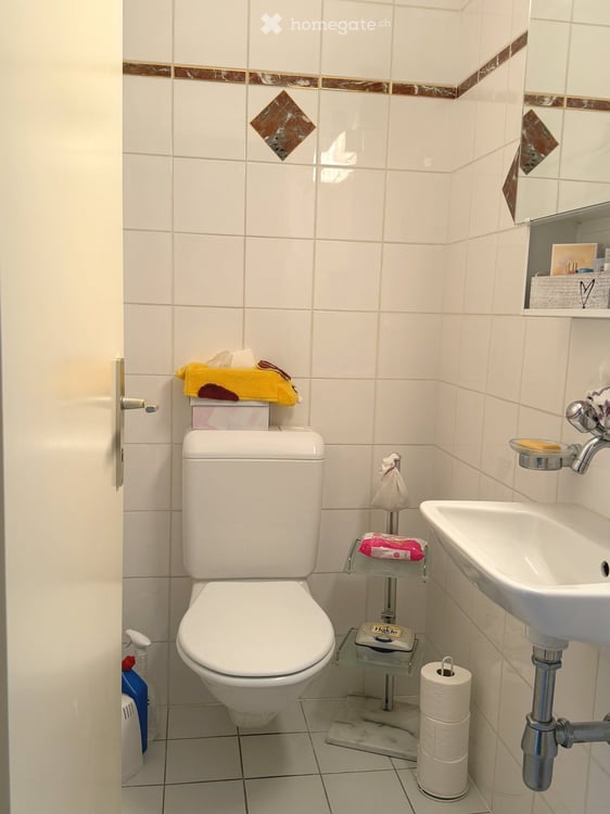 Joli 3.5 pièces vue sur le vignoble /Schöne 3.5-Zi-Wohnung mit Blick auf die Weinberge 4