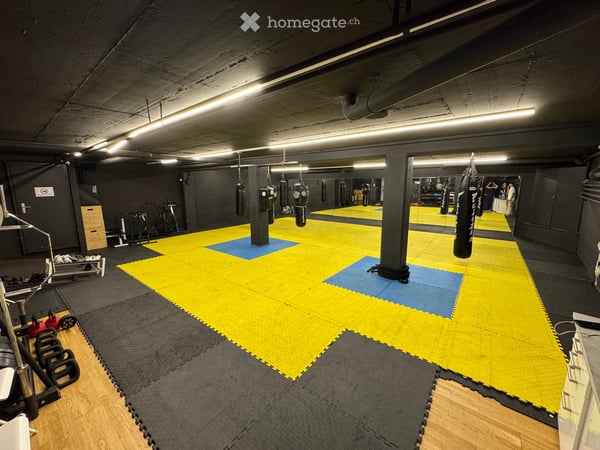 Gewerbe in St. Gallen 1