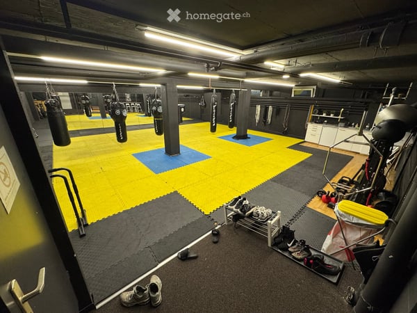 Gewerbe in St. Gallen 2