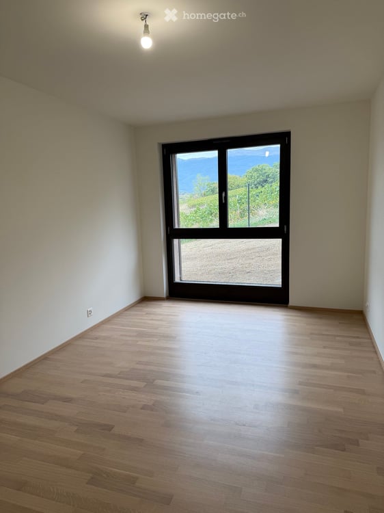 Appartements 4 pièces Rez de jardin à vendre à Russin 5