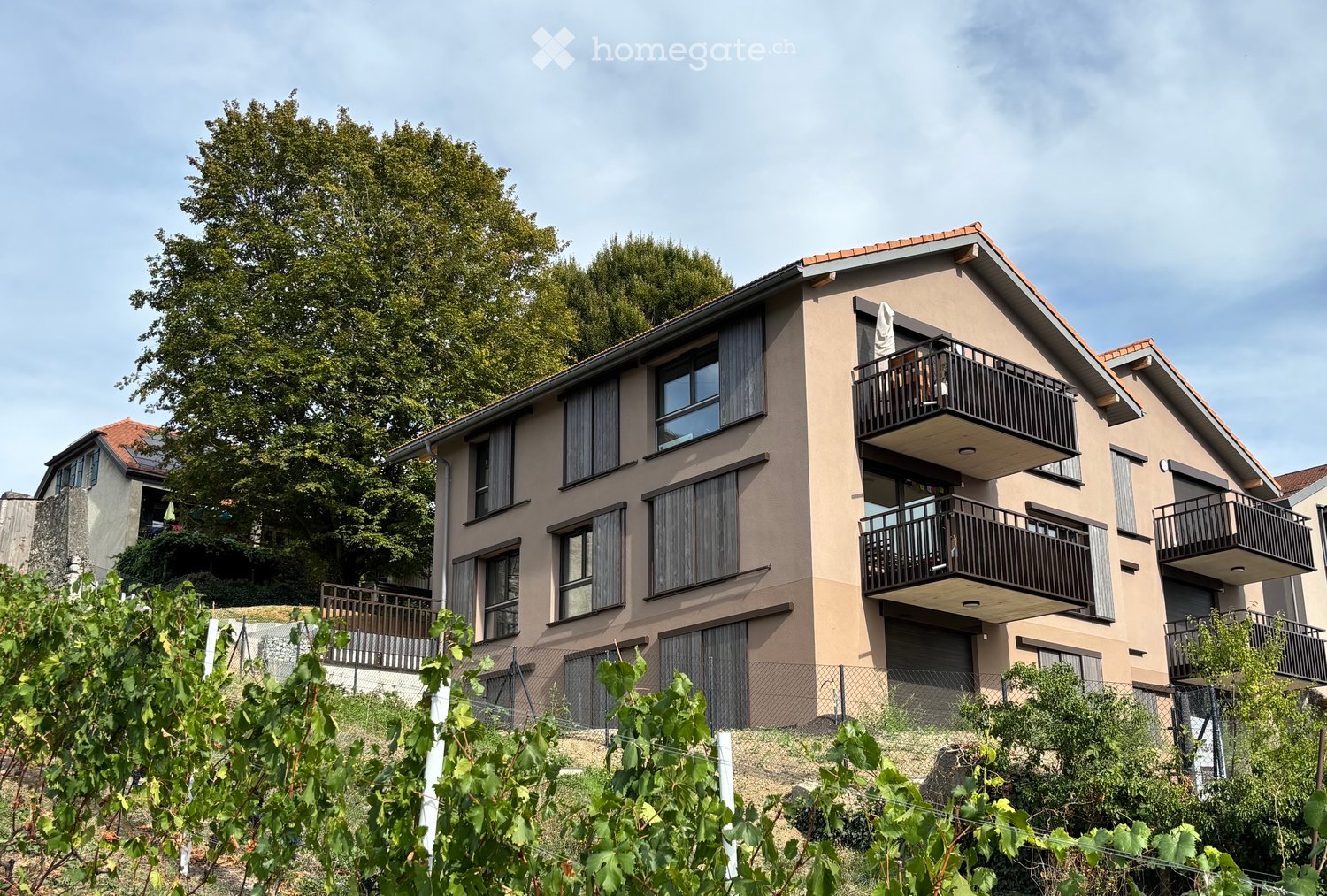 Two-story house with beige facade, multiple windows, balconies, and a garage. Surrounded by greenery and a vineyard in the foreground.