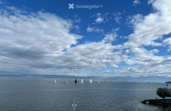 AMPHION-LES-BAINS – EXCEPTIONNEL ATTIQUE PIEDS DANS L’EAU AVEC VUE PANORAMIQUE SUR LE LAC LÉMAN 19