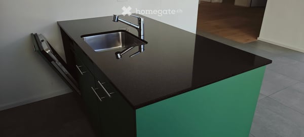 3.5-Zimmer-Wohnung mit Terrasse in Diegten 14