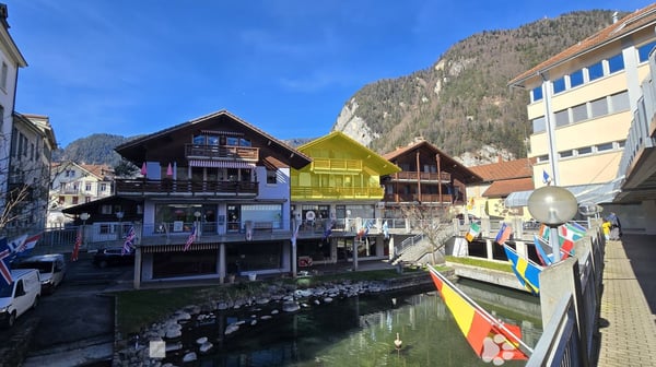 Wohnen an der Aare – Maisonette mit Blick auf Mönch, Jungfrau und Harder 1