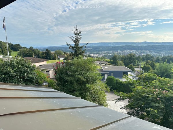 Einfamilienhaus Rustico in Widen 7