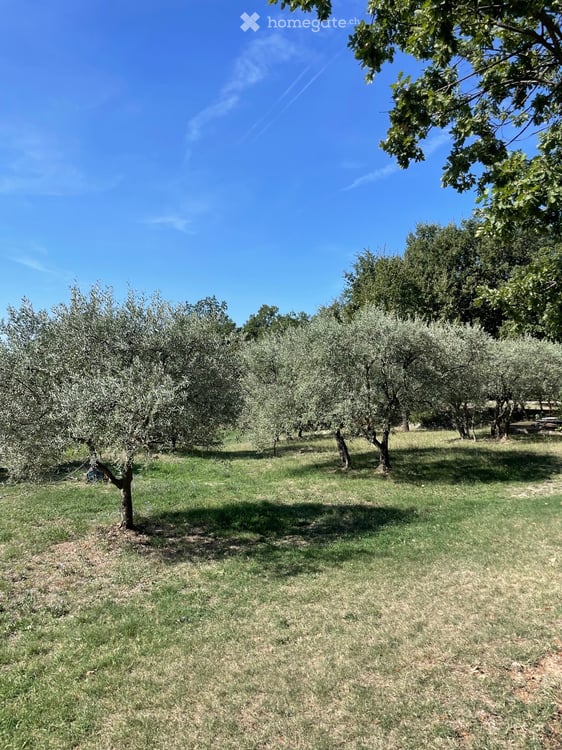 Propriété de charme à Villars en Luberon (Provence) 14