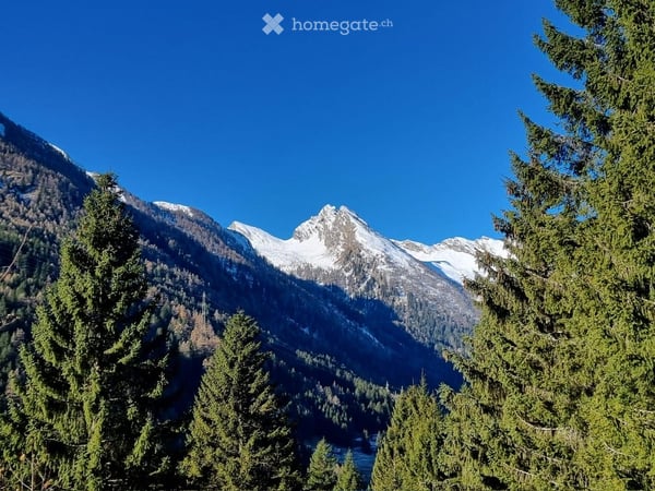 Chalet in Pian San Giacomo 12