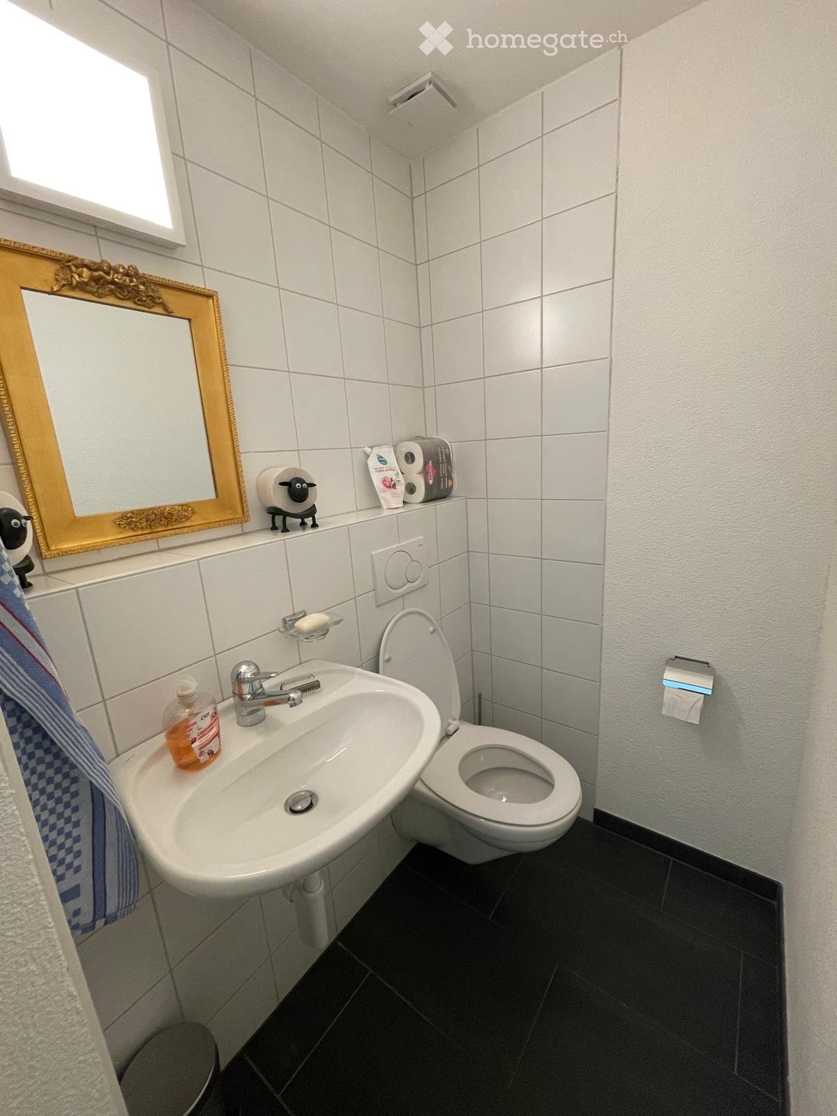A small bathroom with a white sink, toilet, and mirror. The sink has a silver faucet and a soap dispenser. Toilet paper and a towel are visible, along with a decorative mirror and a small figurine on the windowsill.