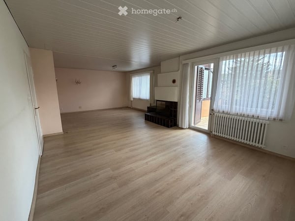 Doppeleinfamilienhaus in Emmen 8