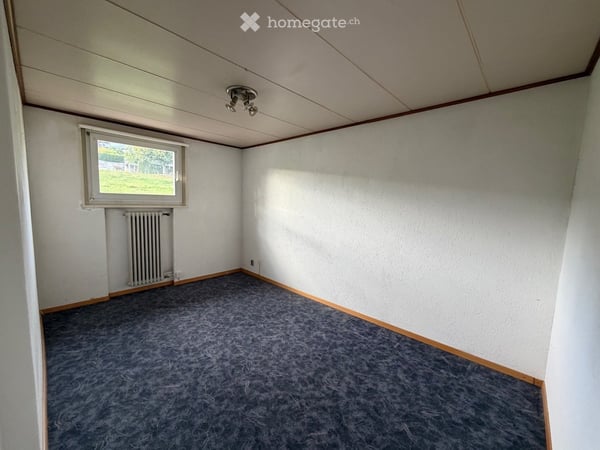Doppeleinfamilienhaus in Emmen 17
