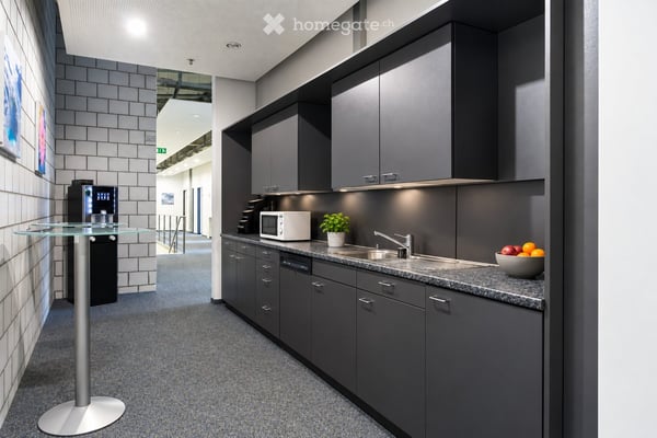 Site industriel moderne avec production, bureaux et salle blanche à louer à Gals/BE 15