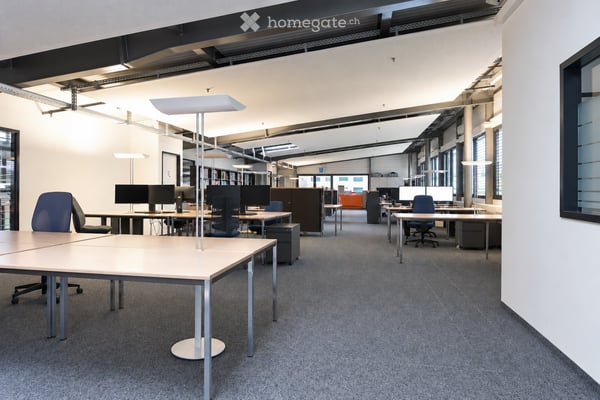 Site industriel moderne avec production, bureaux et salle blanche à louer à Gals/BE 12