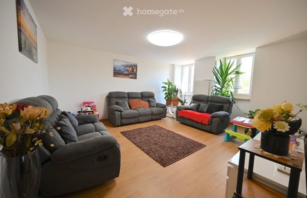 Magnifique duplex de 5.5 pièces avec terrasse, jardin privatif et double garage à Bavois 2
