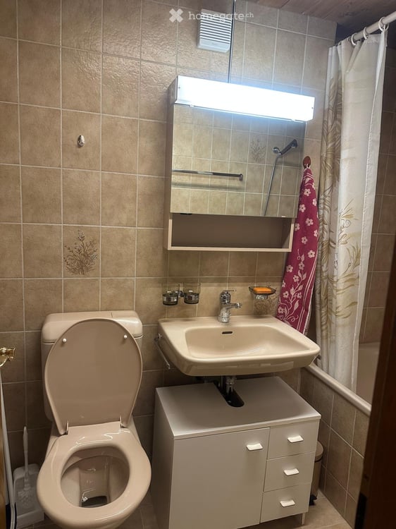 Gemütliche 1.5-Zimmer-Wohnung mit Terrasse und Garten in ruhiger Lage in Savognin 8