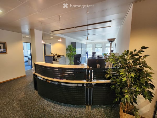 Bureau lumineux au centre de Lausanne 5