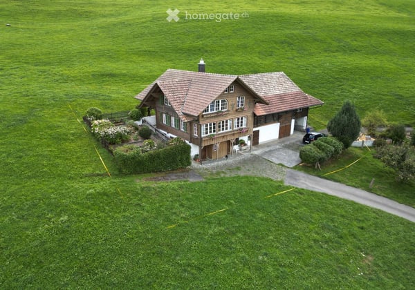 Doppeleinfamilienhaus in Faulensee 2