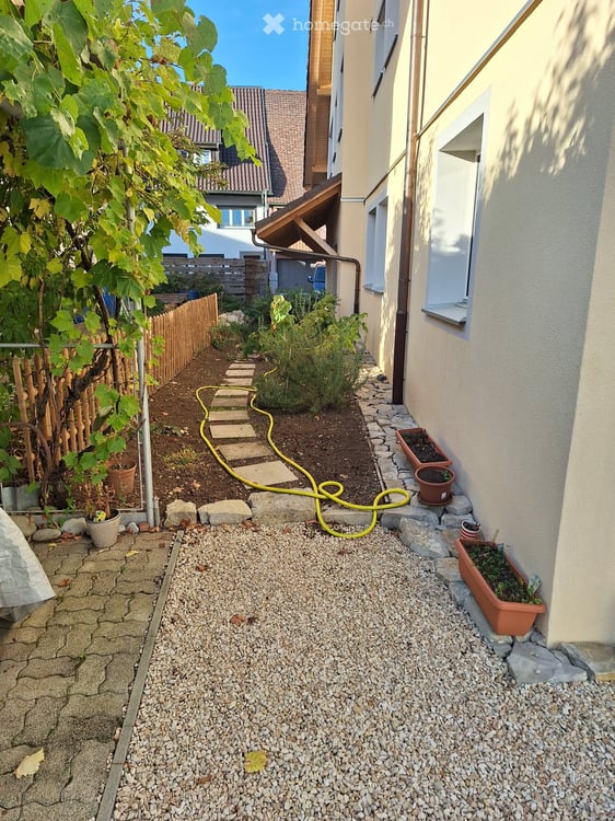 2.5 Zimmerwohnung in Beringen 2