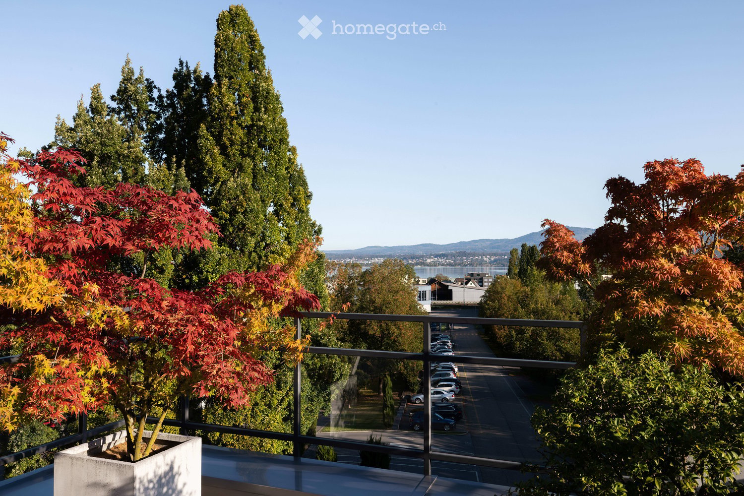 Balcony with a view of a street lined with parked cars, surrounded by tall trees and distant water.