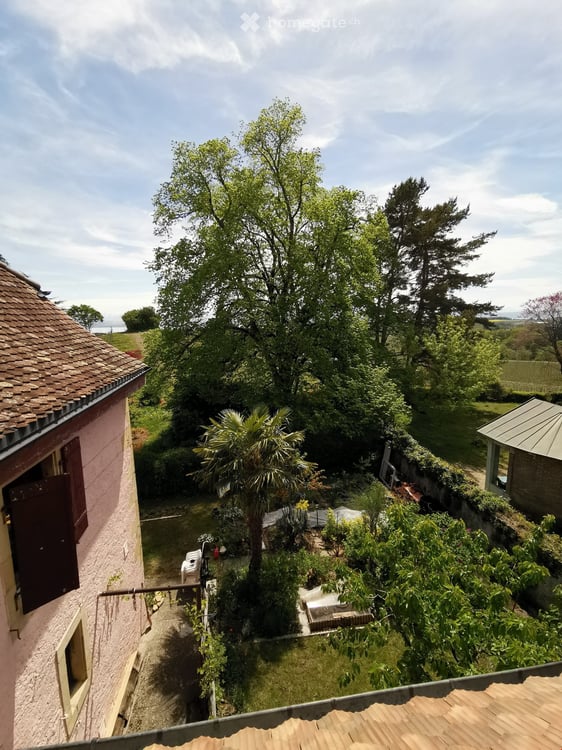 Loft à Bôle 16