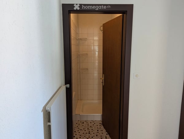App. dernier étage à Sion 17