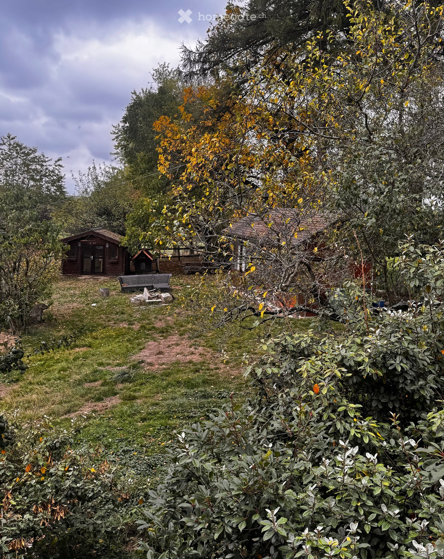 A serene garden area with a wooden shed, benches, and lush greenery, including trees with yellow leaves and a variety of shrubs and plants.