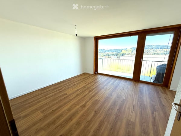 4,5 Zimmer - 118m² (197m² ) Hobbyraum, Tiefgarage + Aussenparkplatz, zwei Balkone, Waschküche usw. 7