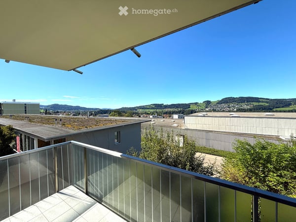 4,5 Zimmer - 118m² (197m² ) Hobbyraum, Tiefgarage + Aussenparkplatz, zwei Balkone, Waschküche usw. 14