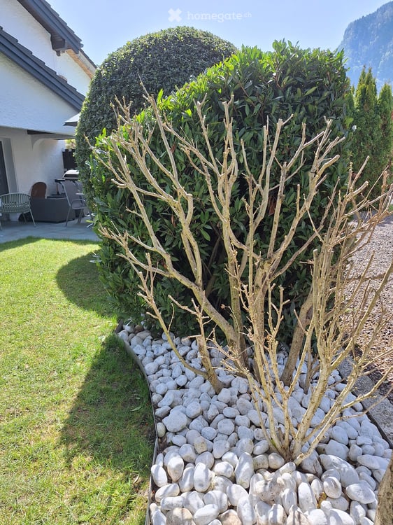 La Maison des Palmiers – Charmante villa rénovée de 130 m², au calme et à proximité du lac Léman 17