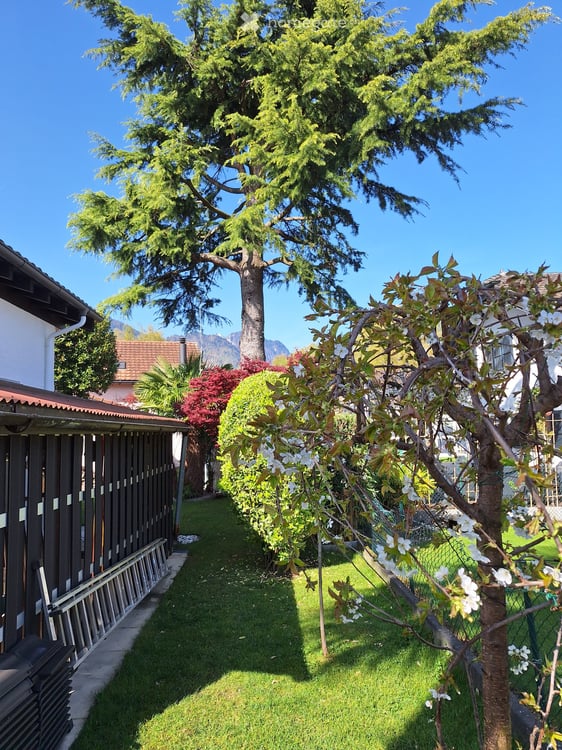 La Maison des Palmiers – Charmante villa rénovée de 130 m², au calme et à proximité du lac Léman 12