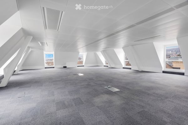 Büro über den Dächern von Zurich 3