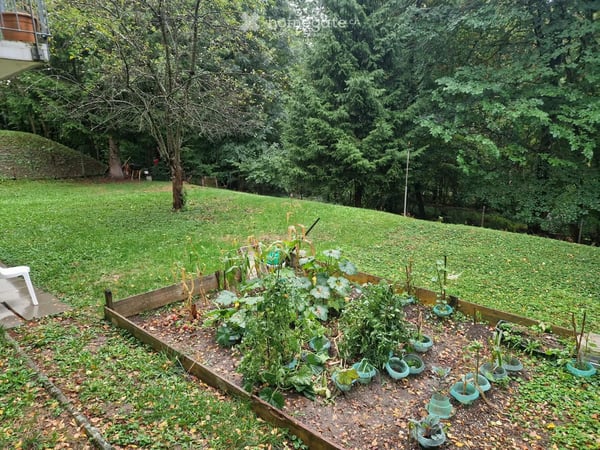 Bel appartement central et calme - 2.5 pcs à Fribourg 5
