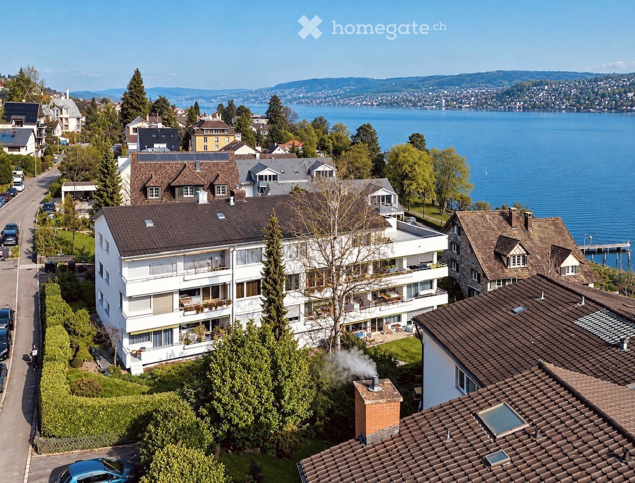 Aerial view of a residential area with multiple houses, surrounded by greenery and overlooking a lake and distant mountains.
