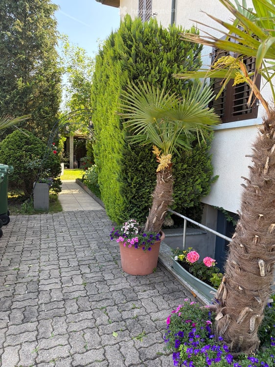 Charmantes Doppeleinfamilienhaus mit Garten, 1 x Garage und 1 x PP in Derendingen zu vermieten 11