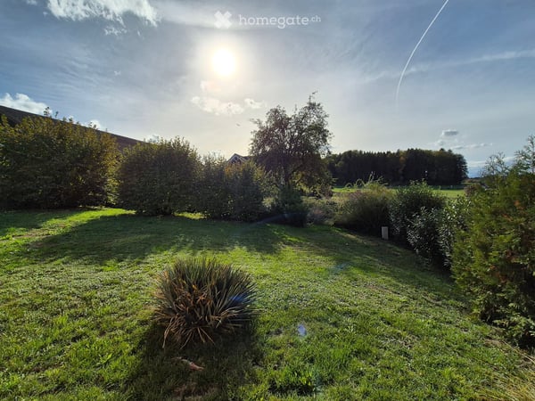 Perle in Wangenried 3