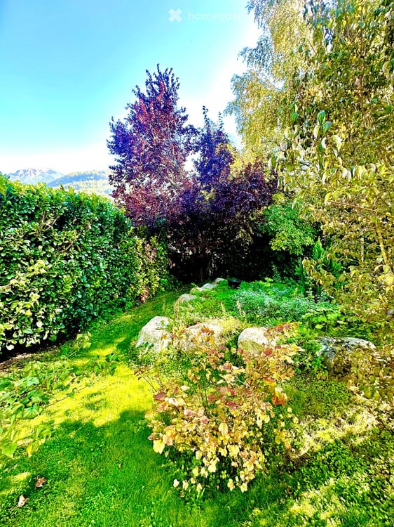 Einfamilienhaus mit grossem Garten 3