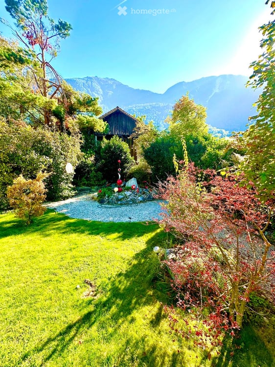Einfamilienhaus mit grossem Garten 4