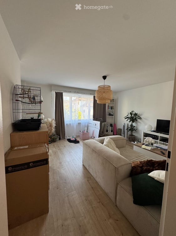 2.5 Zimmerwohnung in Allschwil