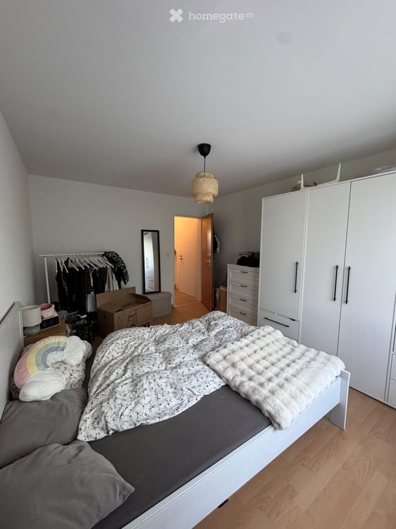 2.5 Zimmerwohnung in Allschwil 2