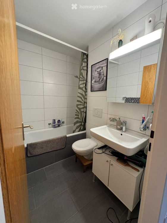 2.5 Zimmerwohnung in Allschwil 4