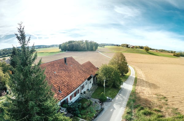 Bauernhaus in Islikon 22