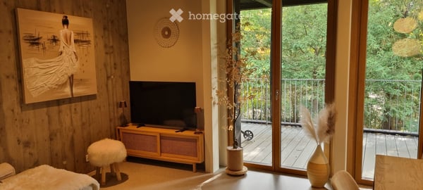 Attique à Carouge GE avec Rooftop 9